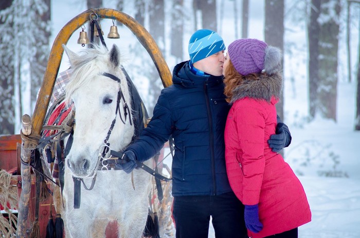 прогулка на лошадях