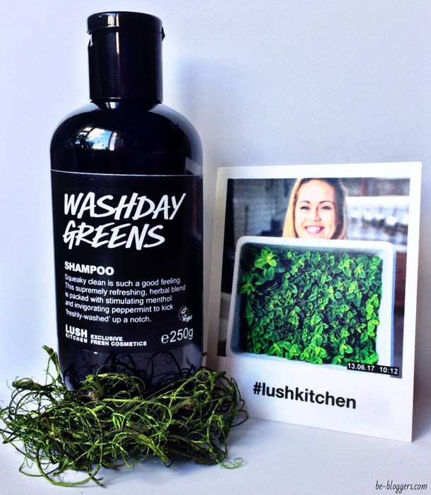 washday greens shampoo lush